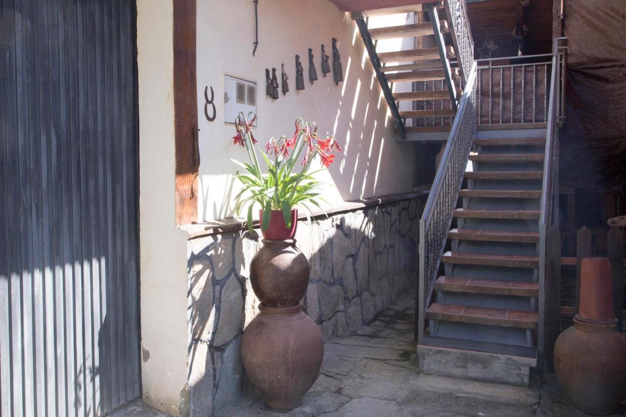 La Charca De La Dehesa Villa Casas del Monte Bagian luar foto